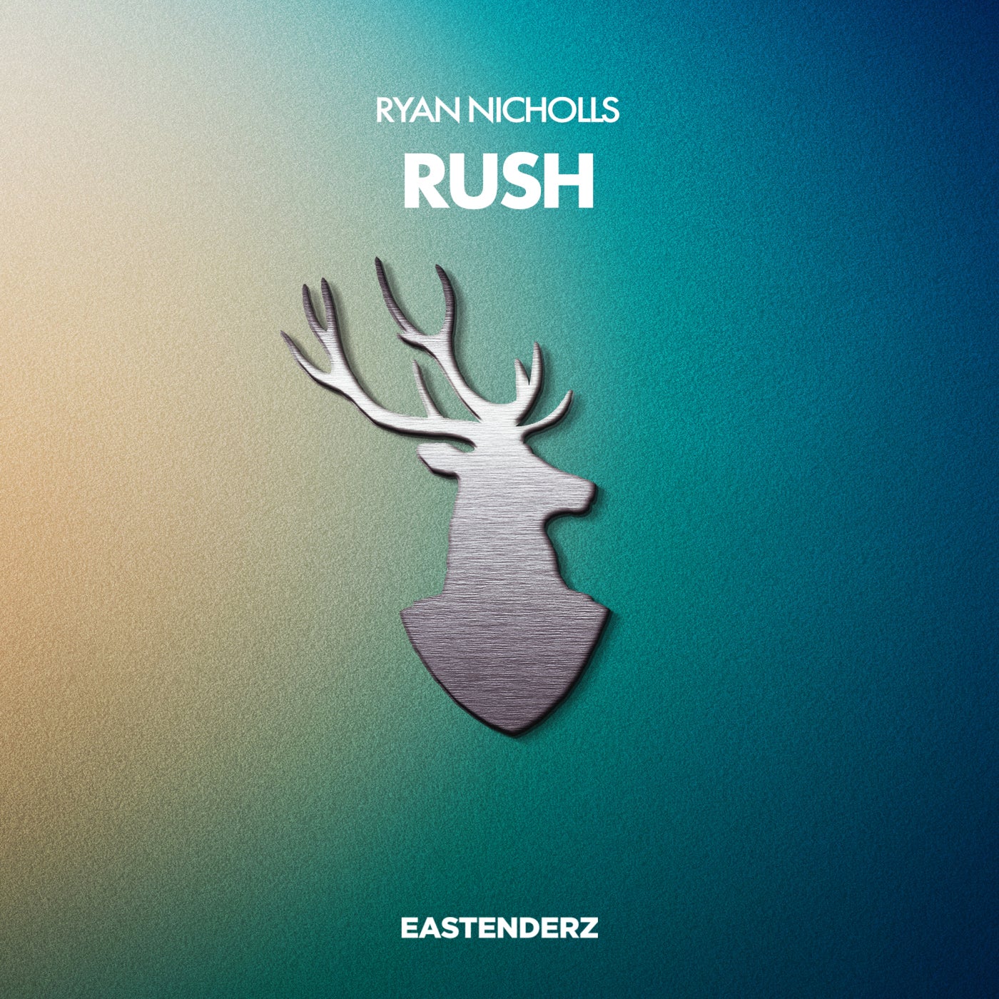 Cover - Ryan Nicholls - Rush (Original Mix) Promo tools