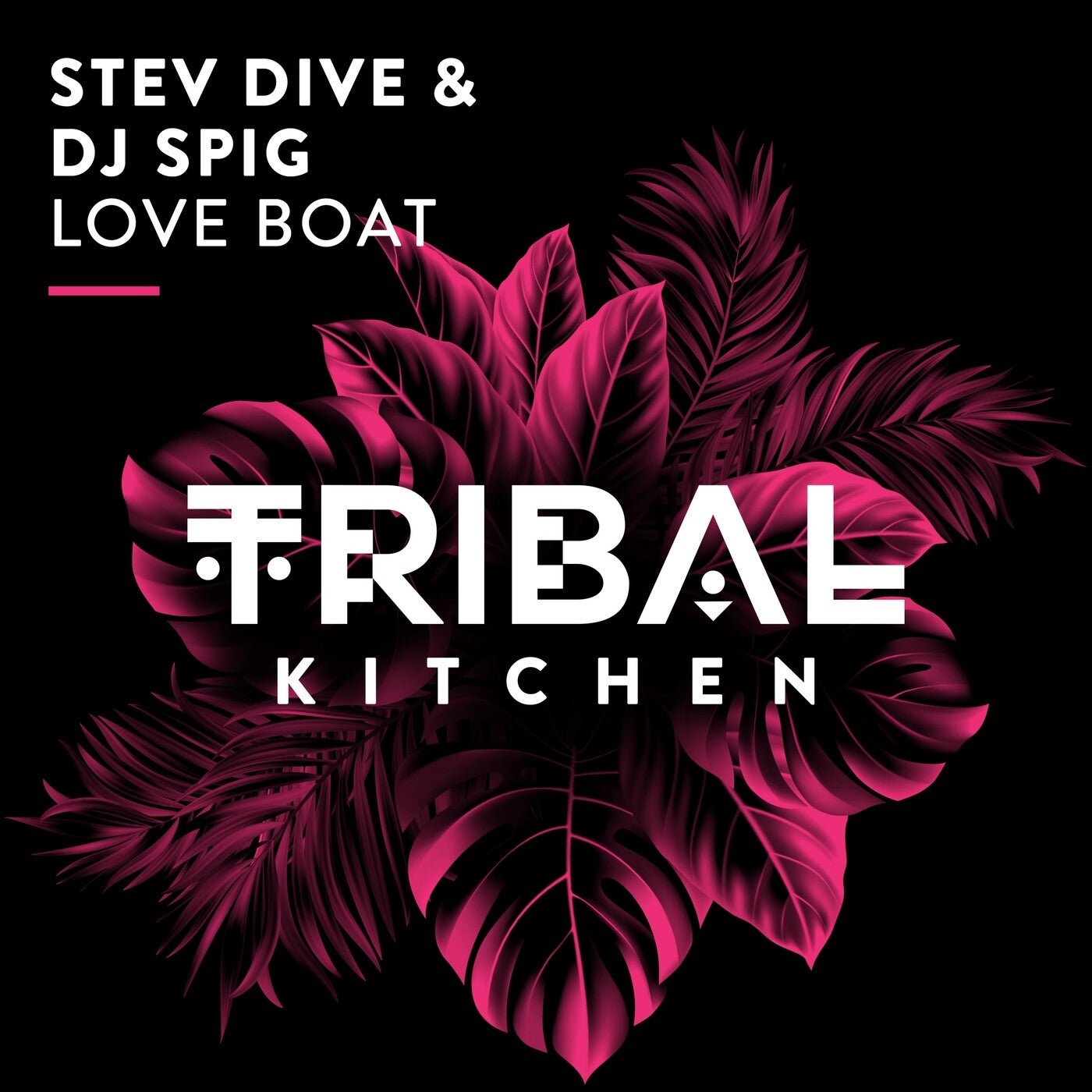 Cover - Stev Dive, DJ Spig - Love Boat (Extended Mix)
