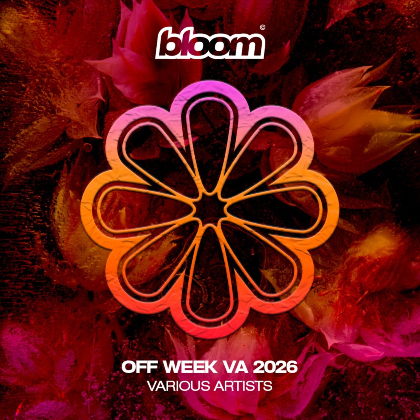 Cover - Cesar(US) - Talkin Shit (Original Mix) Promo tools