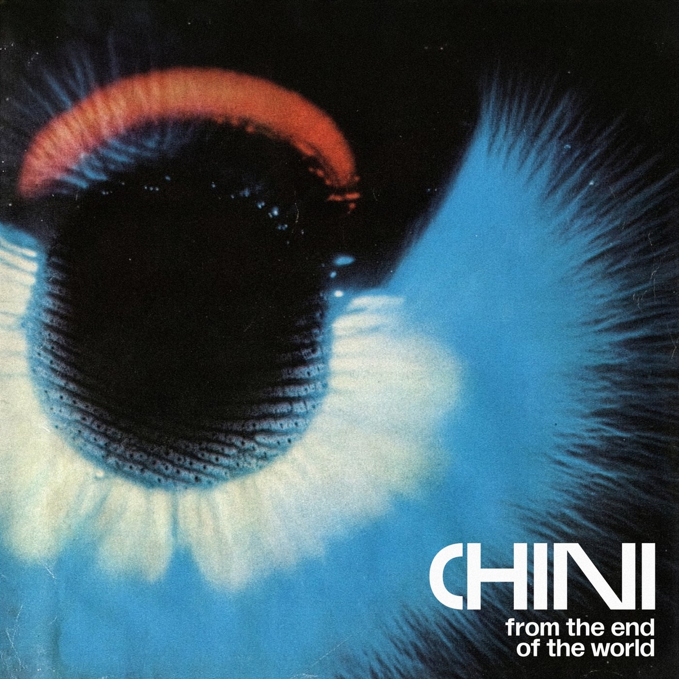 Cover - Chini - Got The Name (Original Mix) Promo tools