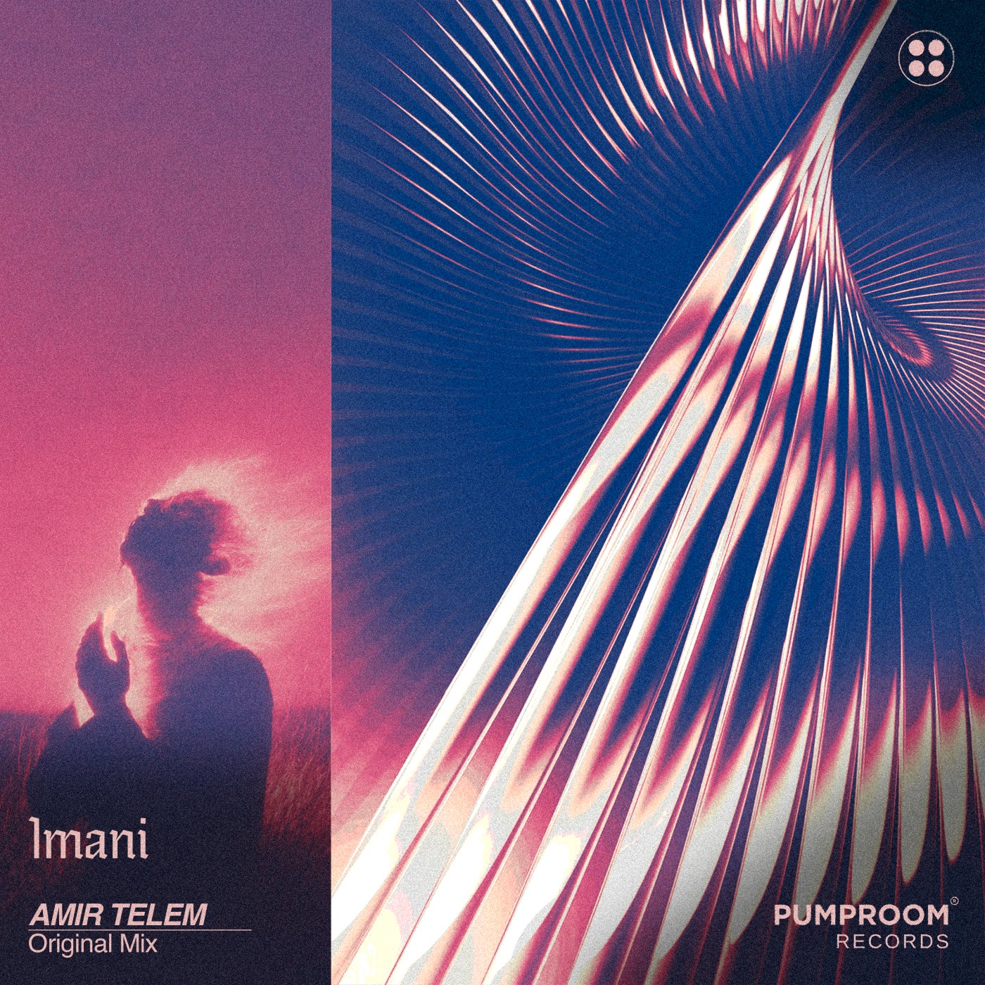 Cover - Amir Telem - Imani (Extended Mix) Promo tools