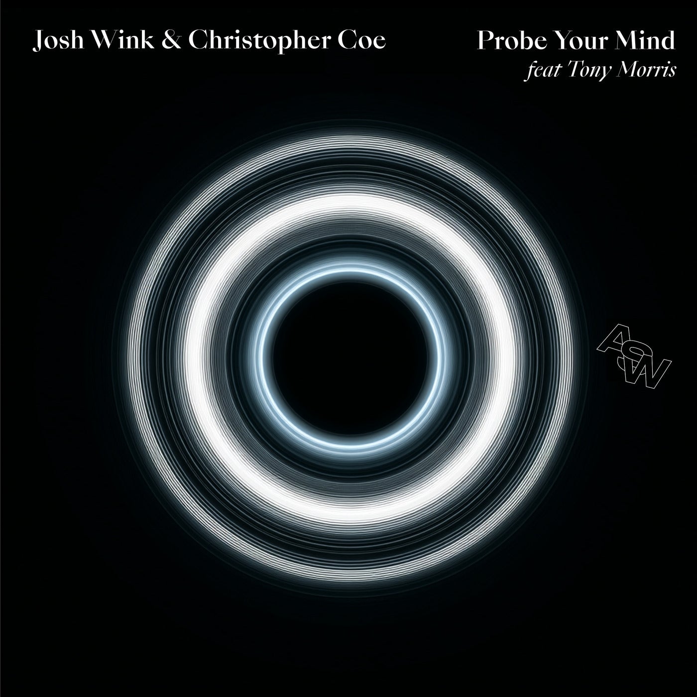 Cover - Josh Wink, Christopher Coe, Tony Morris - Probe Your Mind feat. Tony Morris (Wink's Mind dub) Promo tools