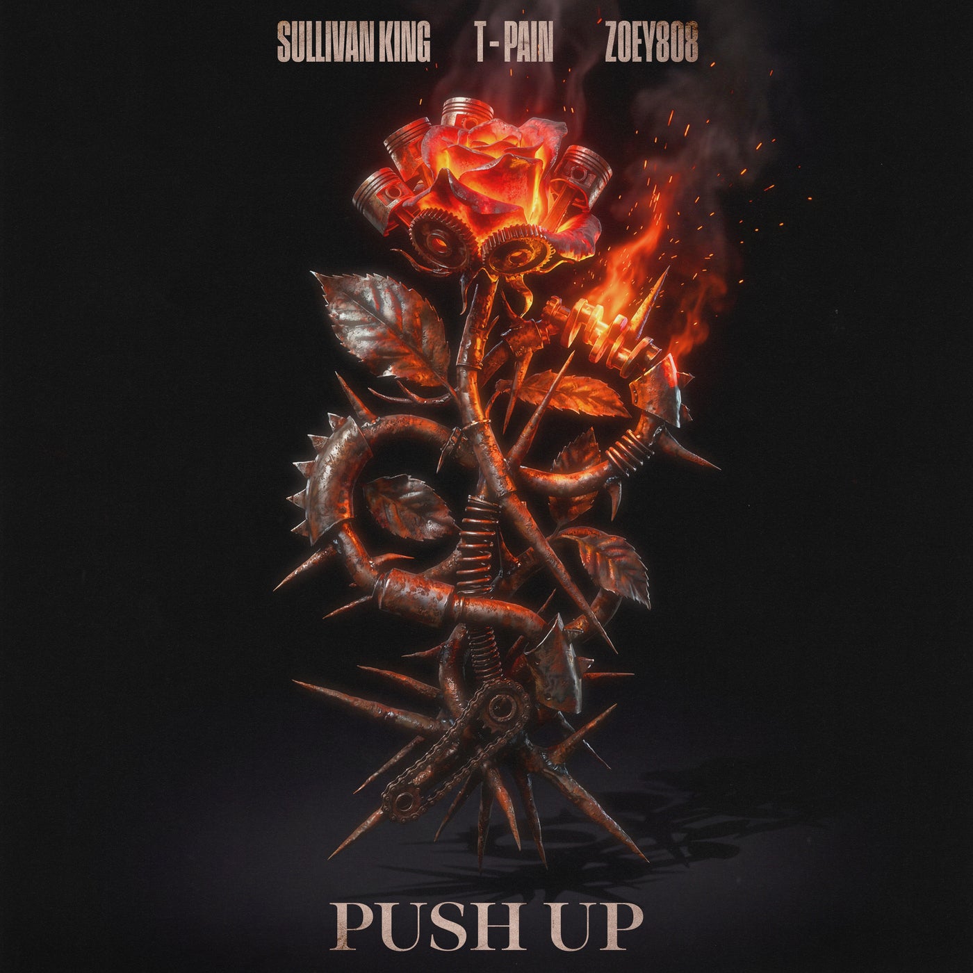 Cover - T-Pain, Sullivan King, Zoey808 - Push Up (Original Mix) Promo tools