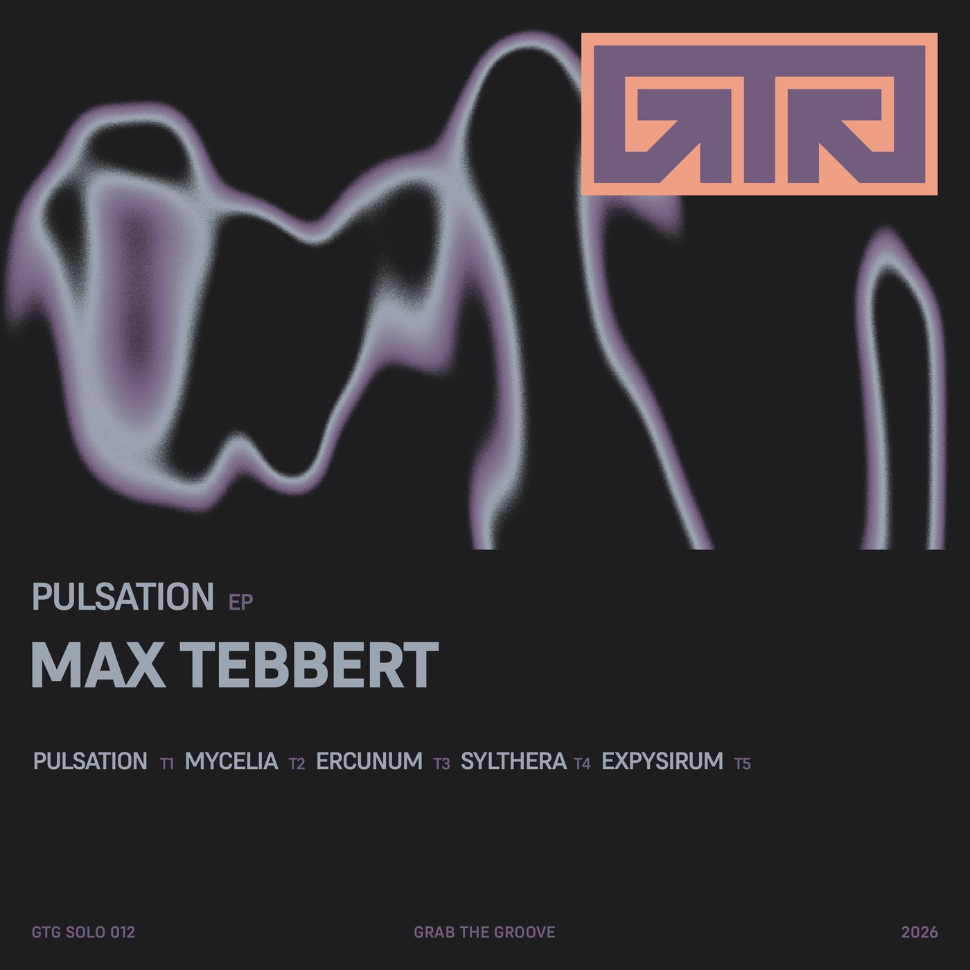 Cover - Max Tebbert - Ercunum (Original Mix) Promo tools