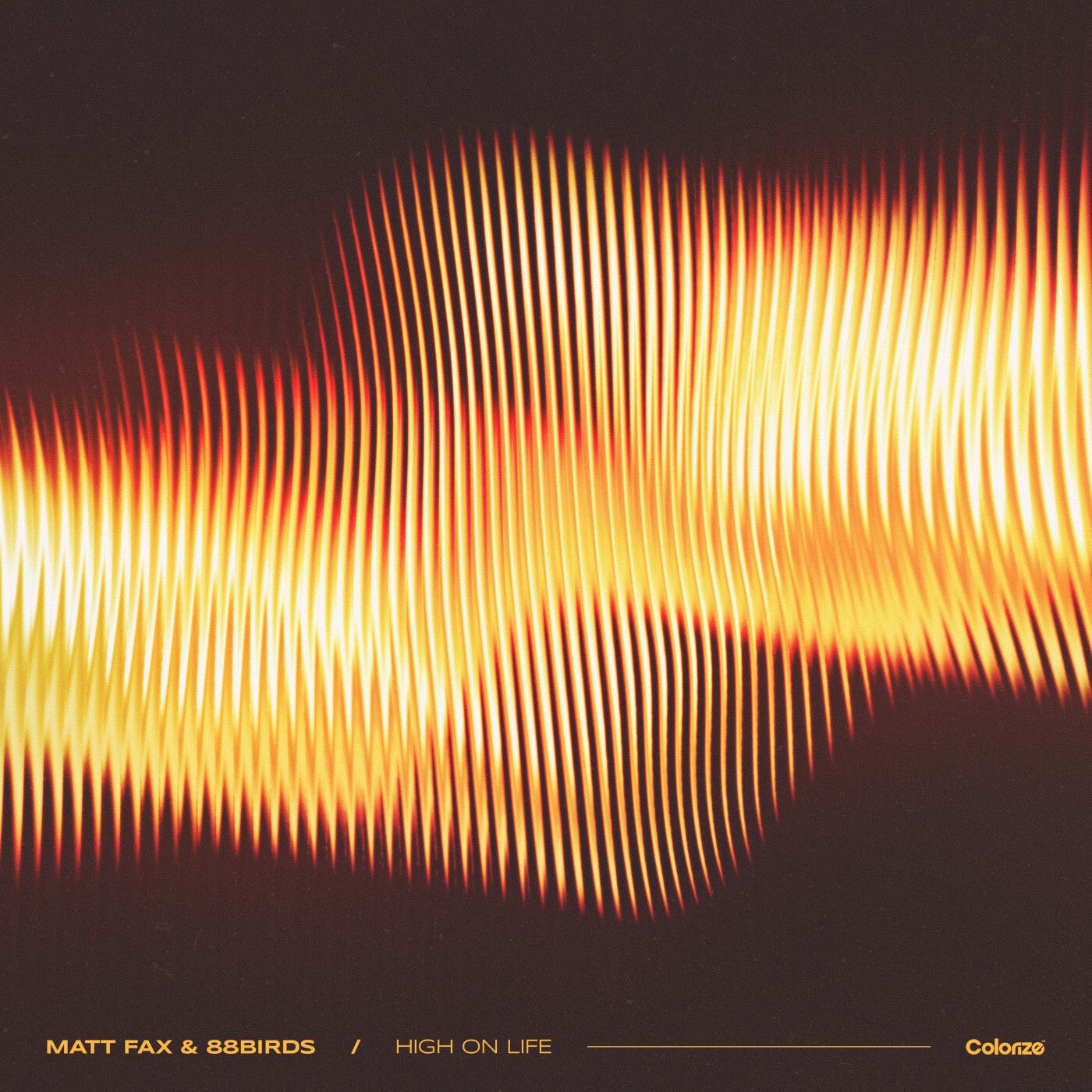 Cover - Matt Fax, 88Birds - High On Life (Extended Mix) Promo tools