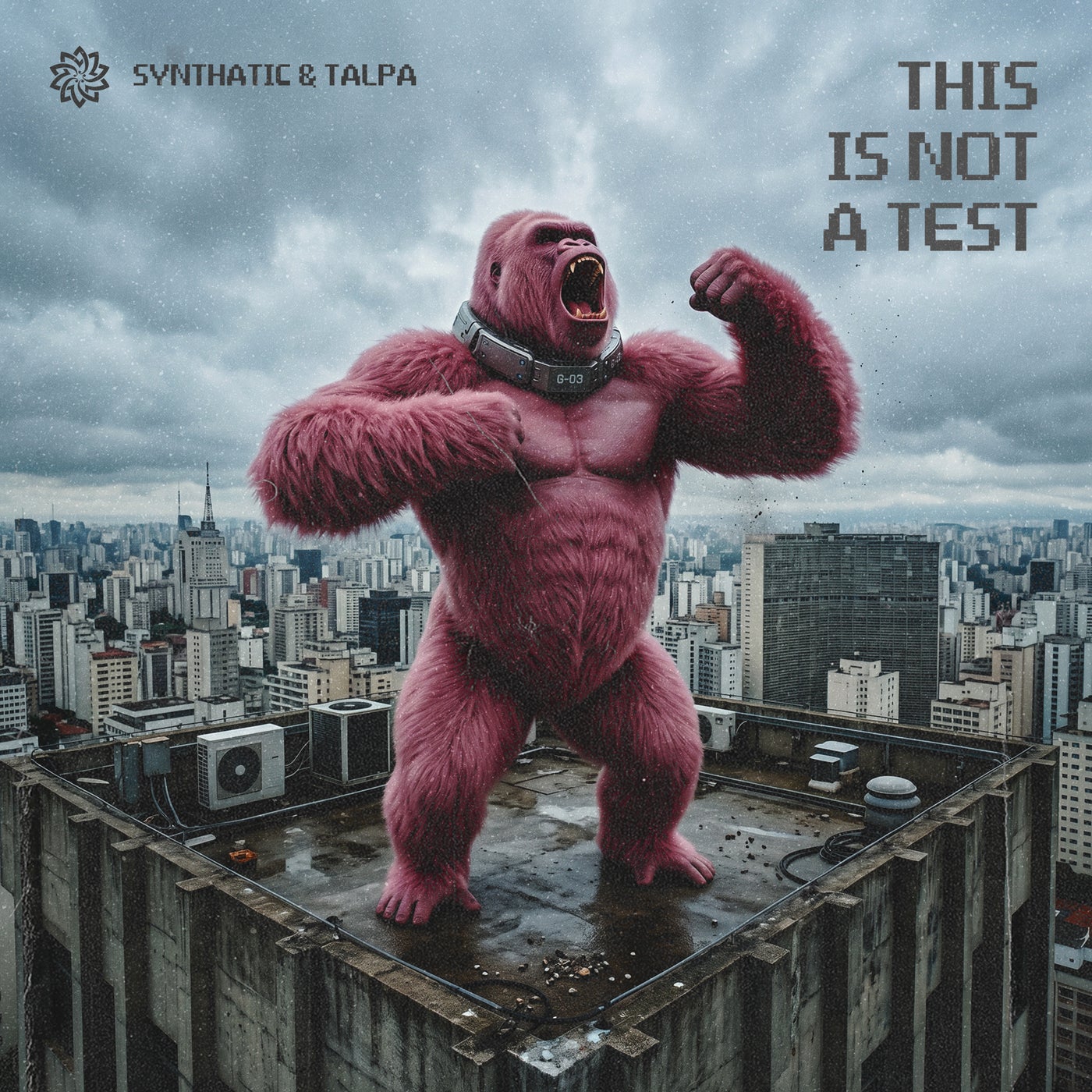 Cover - Talpa, Synthatic - This is Not a Test (Original Mix) Promo tools