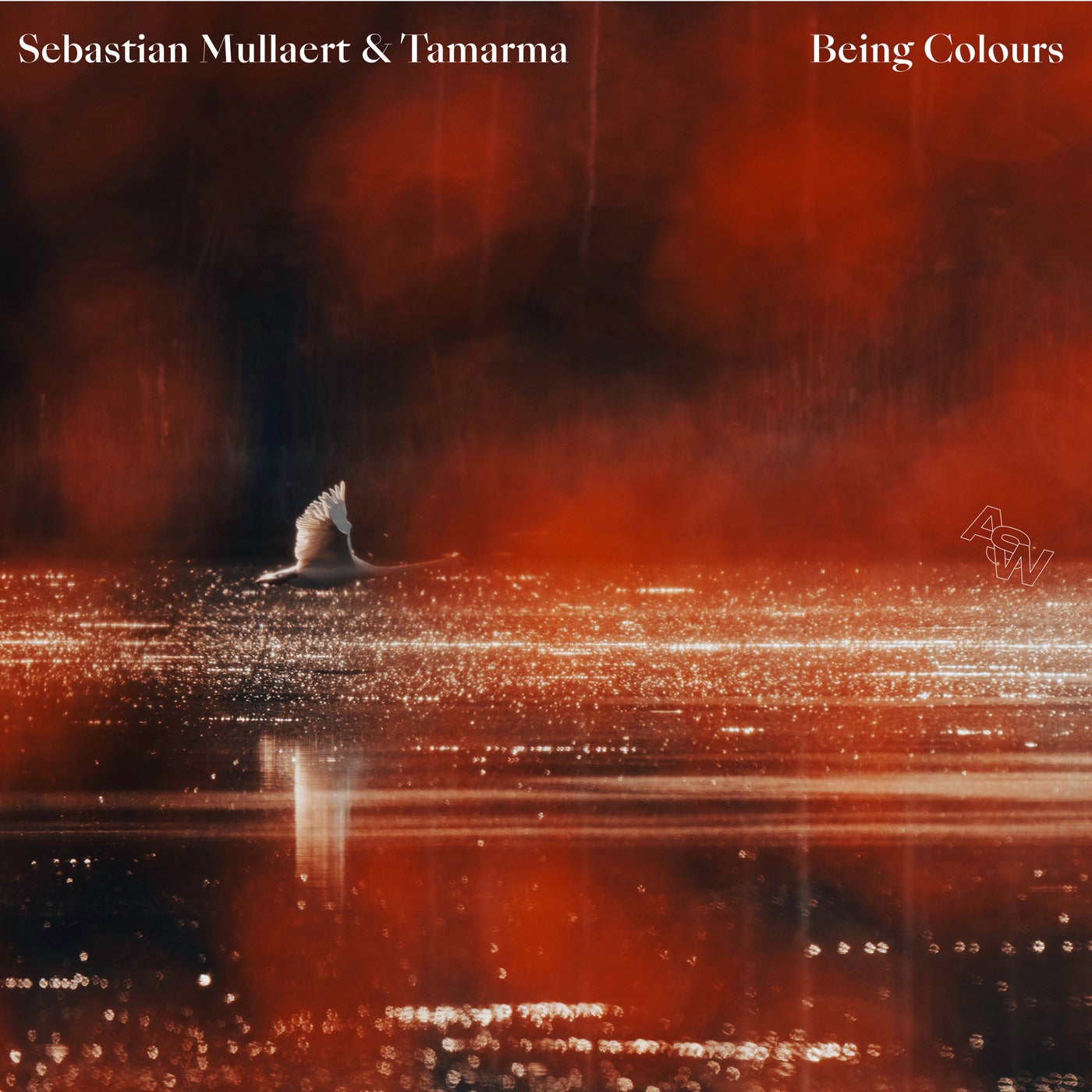 Cover - Sebastian Mullaert, Tamarma - Being Colours (Sebastian Mullaert rework) Promo tools