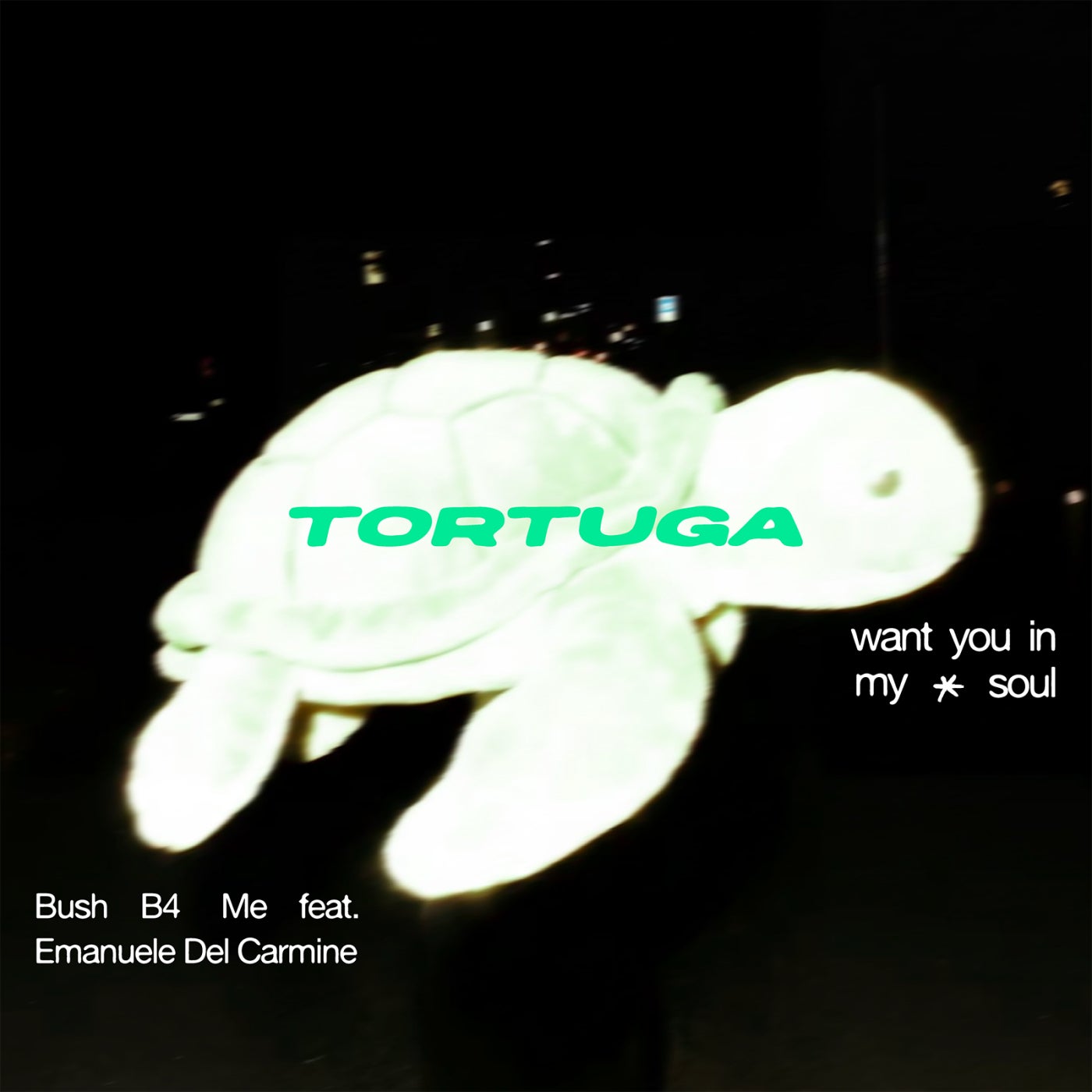Cover - Emanuele Del Carmine, Bush B4 Me - Want You In My Soul (Original Mix) Promo tools