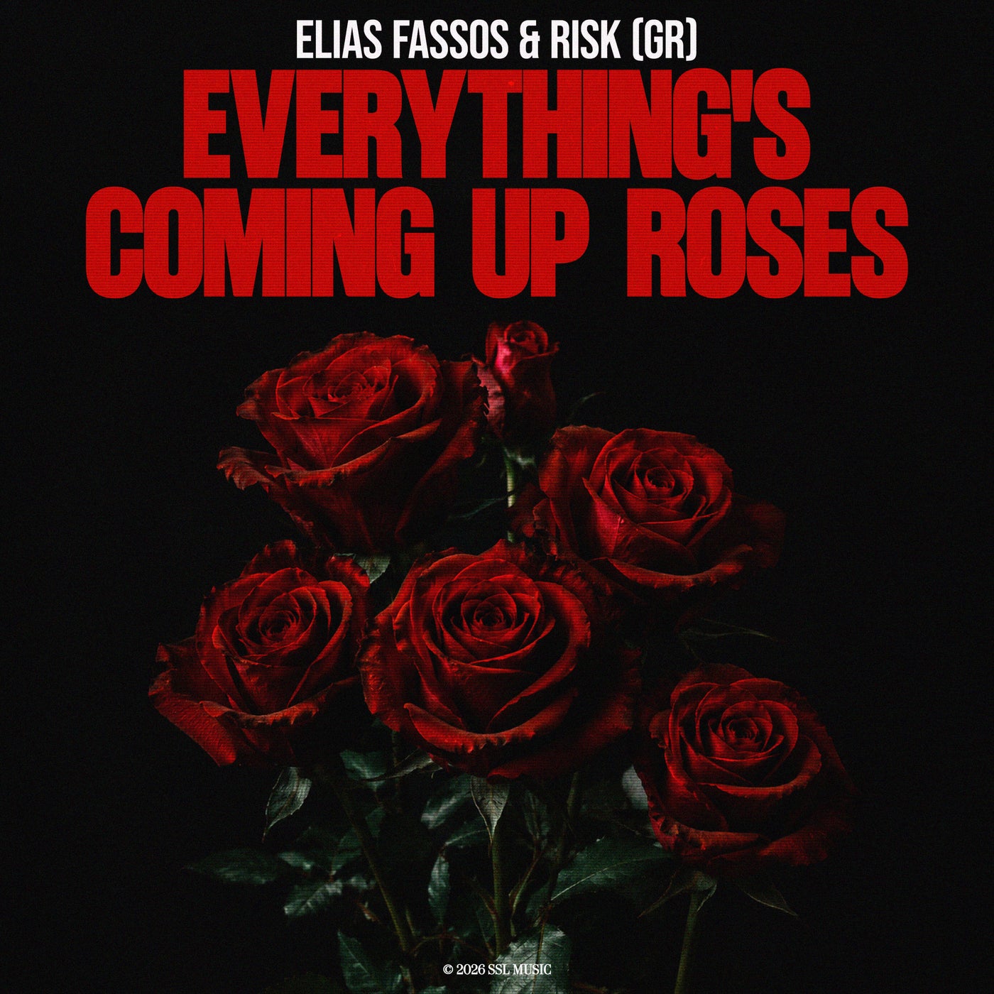 Cover - Elias Fassos, RisK (Gr) - Everything's Coming Up Roses (Extended Mix) Promo tools