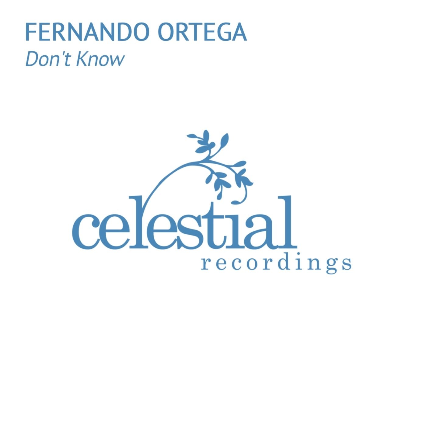 Cover - Fernando Ortega - See It All (Original Mix)