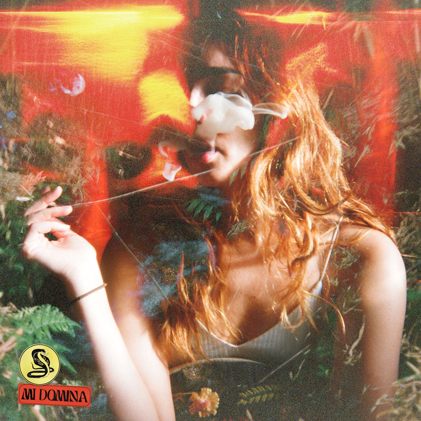 Cover - Nala - Paradise (Extended Mix) Promo tools