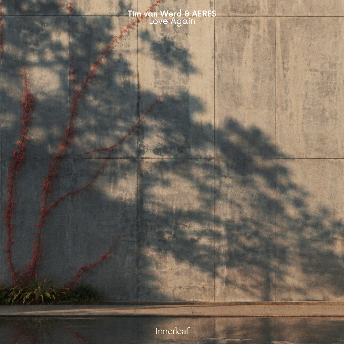 Cover - Tim van Werd, Aeres - Love Again (Extended Mix) Promo tools