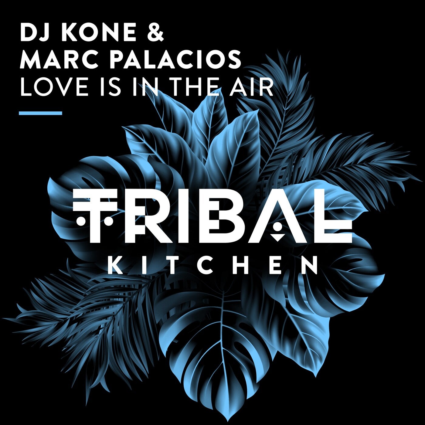 Cover - DJ Kone & Marc Palacios - Love Is in the Air (Extended Mix) Promo tools