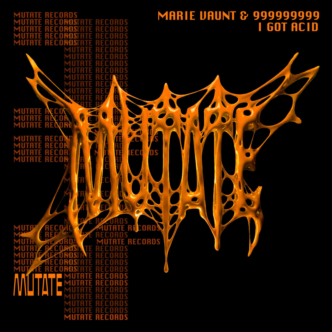 Cover - Marie Vaunt, 999999999 - I Got Acid (Extended Mix) Promo tools
