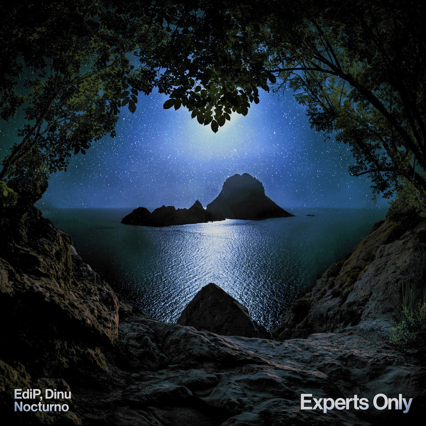 Cover - EdiP, Dinu - Nocturno (Extended Mix) Promo tools