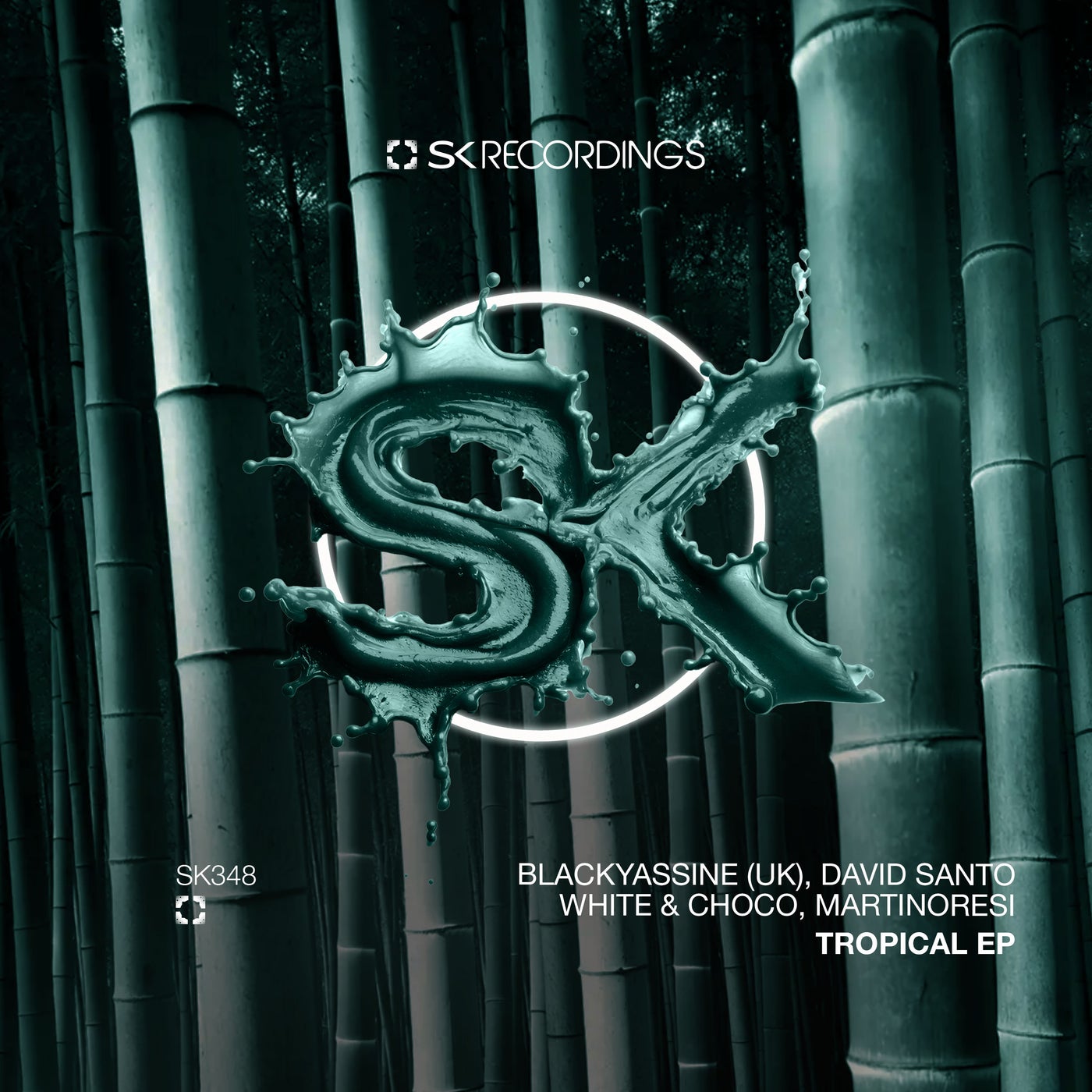 Cover - Blackyassine (UK), David Santo - Stop It (Original Mix) Promo tools