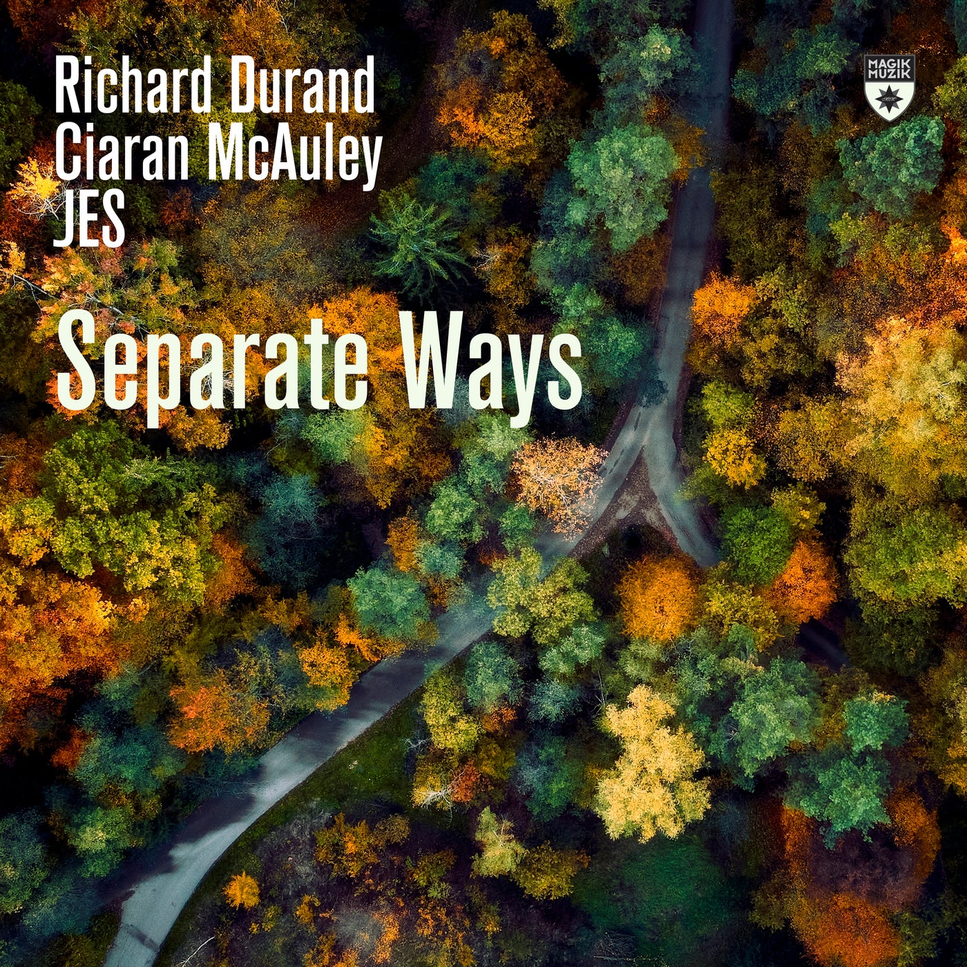 Cover - Richard Durand, Ciaran McAuley, JES - Separate Ways (Extended Mix) Promo tools