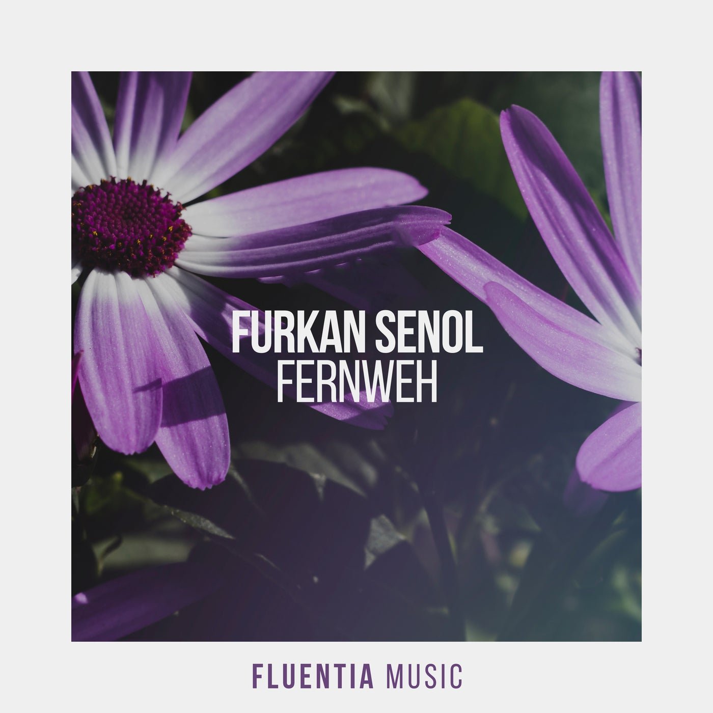 Cover - Furkan Senol - Fernweh (Extended Mix) Promo tools