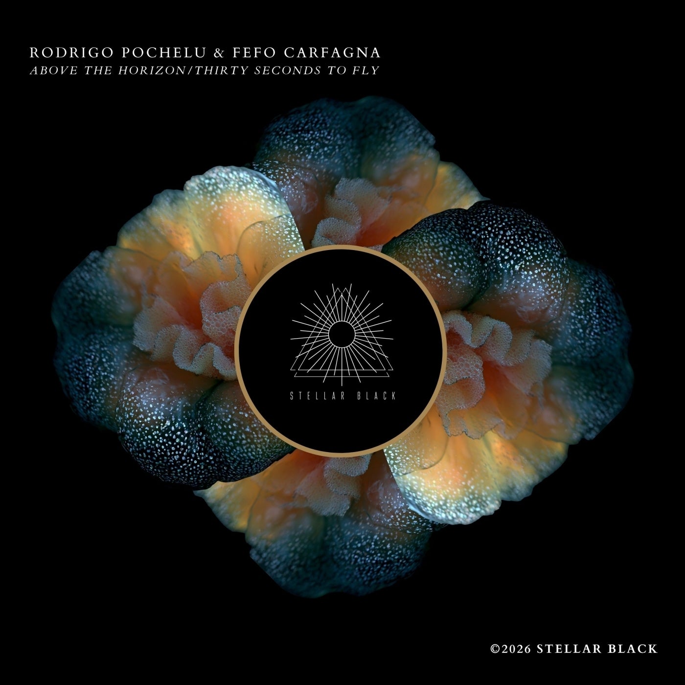 Cover - Rodrigo Pochelu, Fefo Carfagna - Above the Horizon (Original Mix) Promo tools