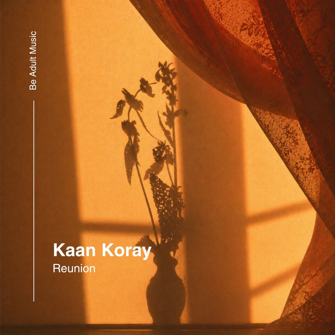 Cover - Kaan Koray - Reunion (Original Mix) Promo tools