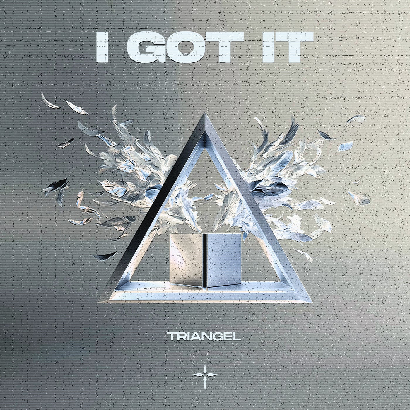 Cover - Triangel - I GOT IT (Extended Mix) Promo tools