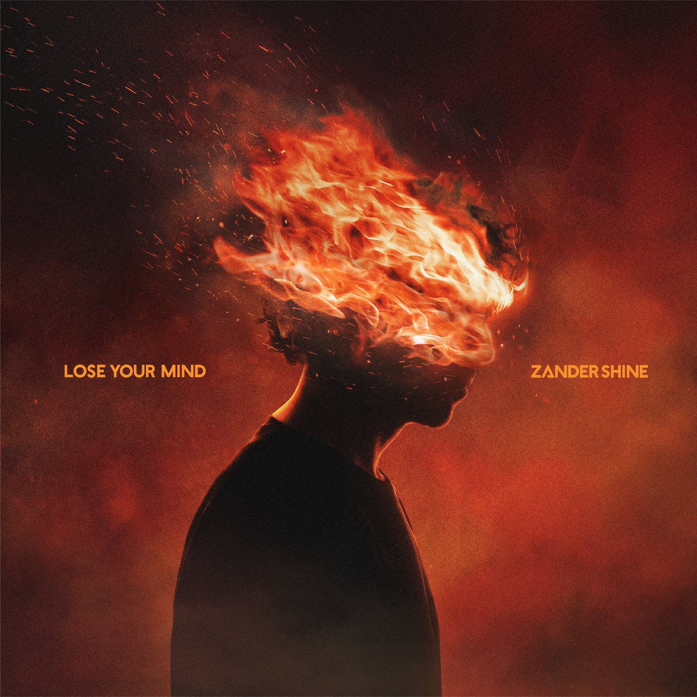 Cover - Zander Shine - lose your mind (extended mix) Promo tools