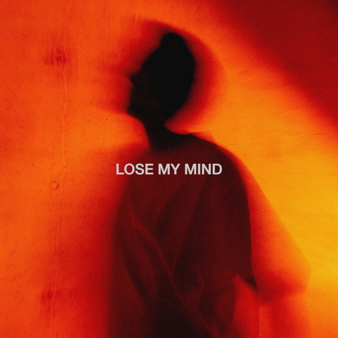 Cover - Lavern - Lose My Mind (Extended Mix) Promo tools