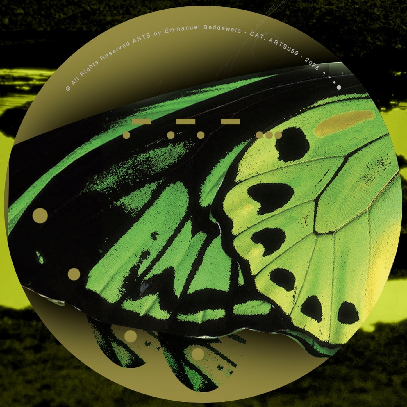 Cover - Steve RedHead - Unbiased Lies (Original Mix) Promo tools