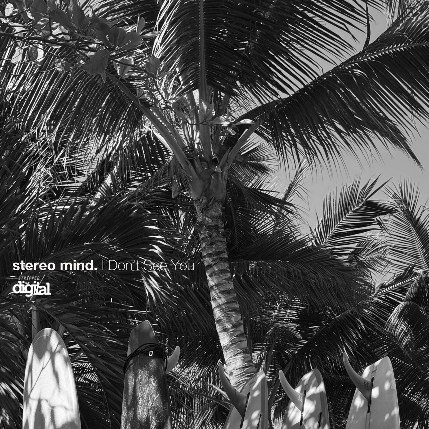 Cover - stereo mind - I Don't See You (Original Mix) Promo tools