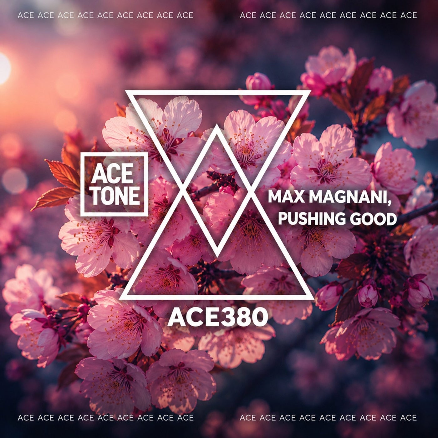 Cover - Max Magnani - Pushing Good (Original Mix) Promo tools