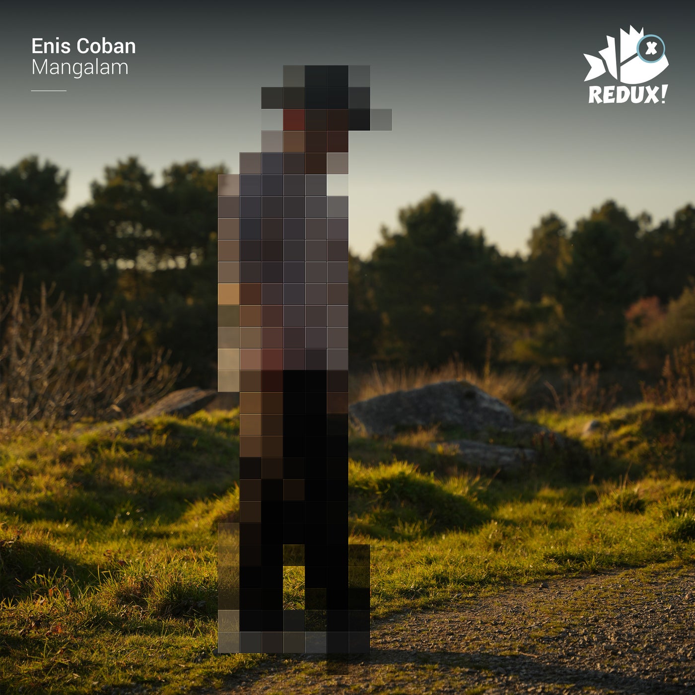Cover - Enis Coban - Mangalam (Original Mix) Promo tools