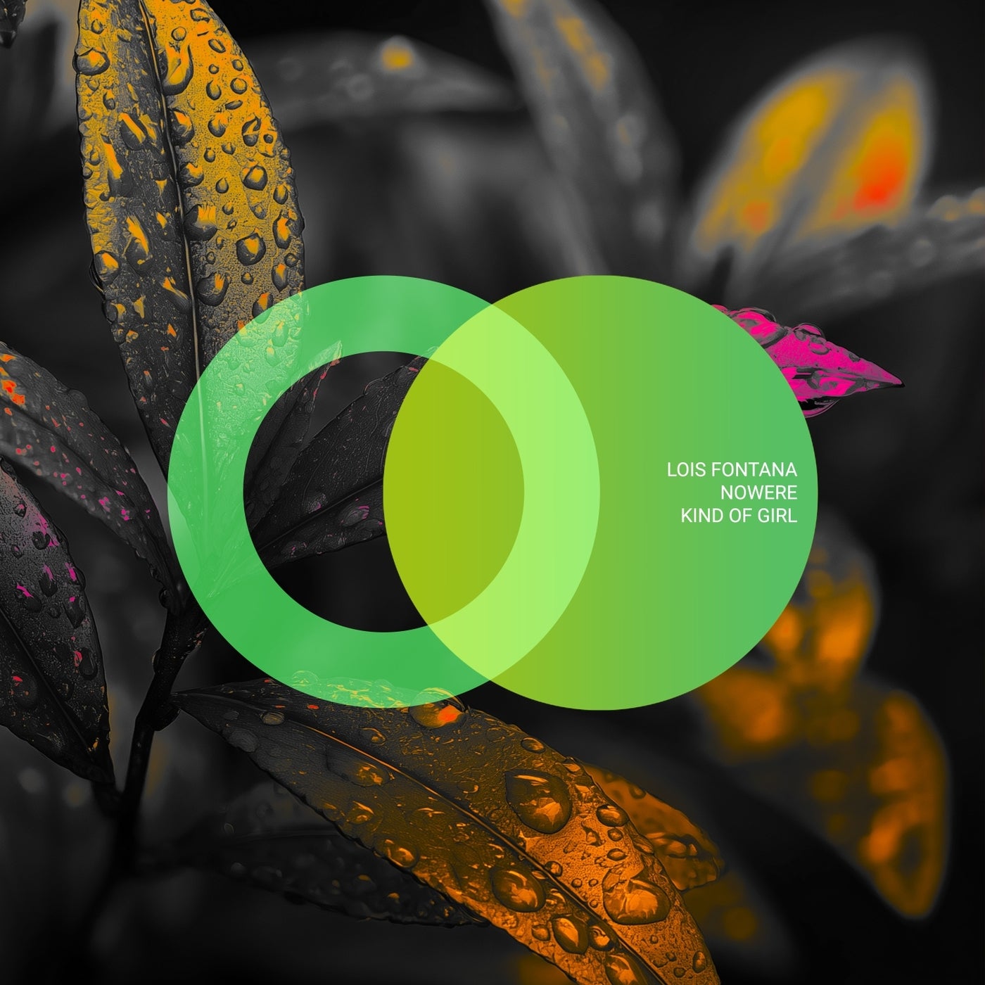 Cover - Lois Fontana, NOWERE - Move Your Body (Original Mix) Promo tools