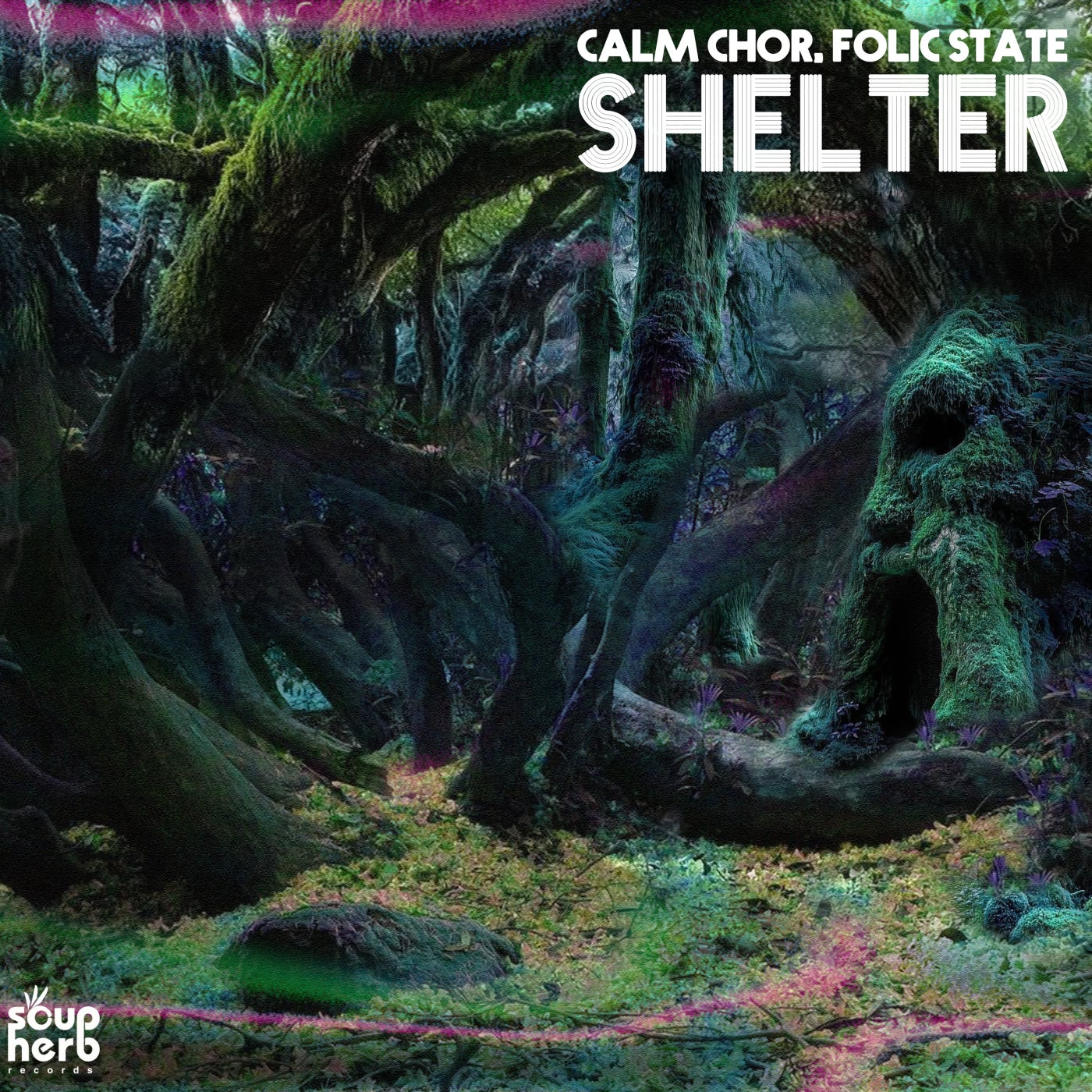 Cover - Calm Chor, Folic State - Rabbit Hole (Original Mix) Promo tools