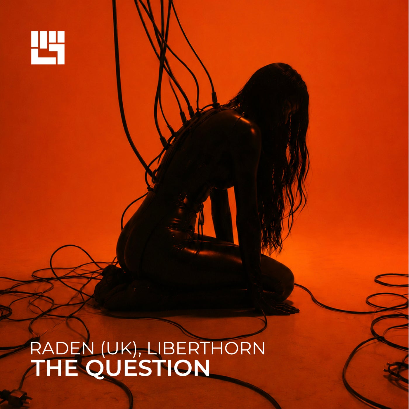Cover - Raden (UK), Liberthorn - The Question (Original Mix) Promo tools