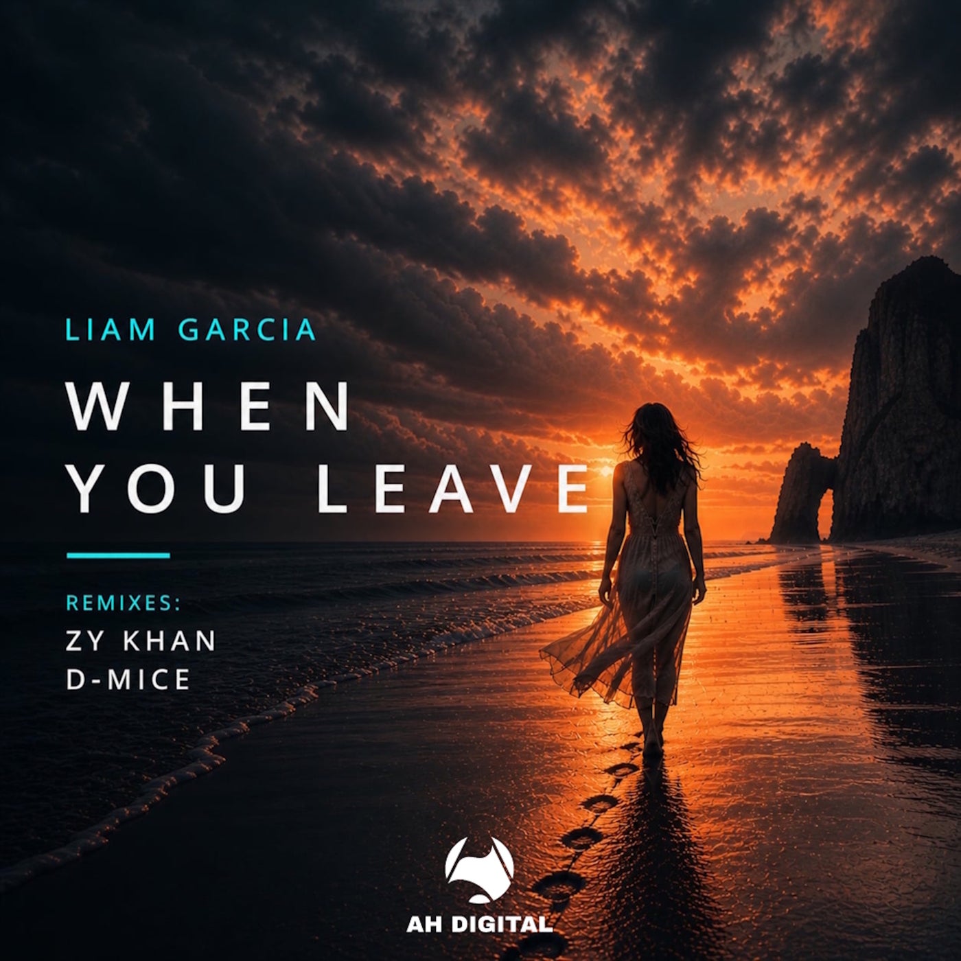 Cover - Liam Garcia - When You Leave (D-MICE Remix) Promo tools