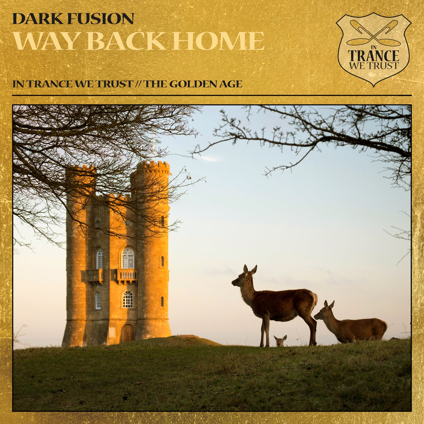 Cover - Dark Fusion - Way Back Home (Extended Mix) Promo tools