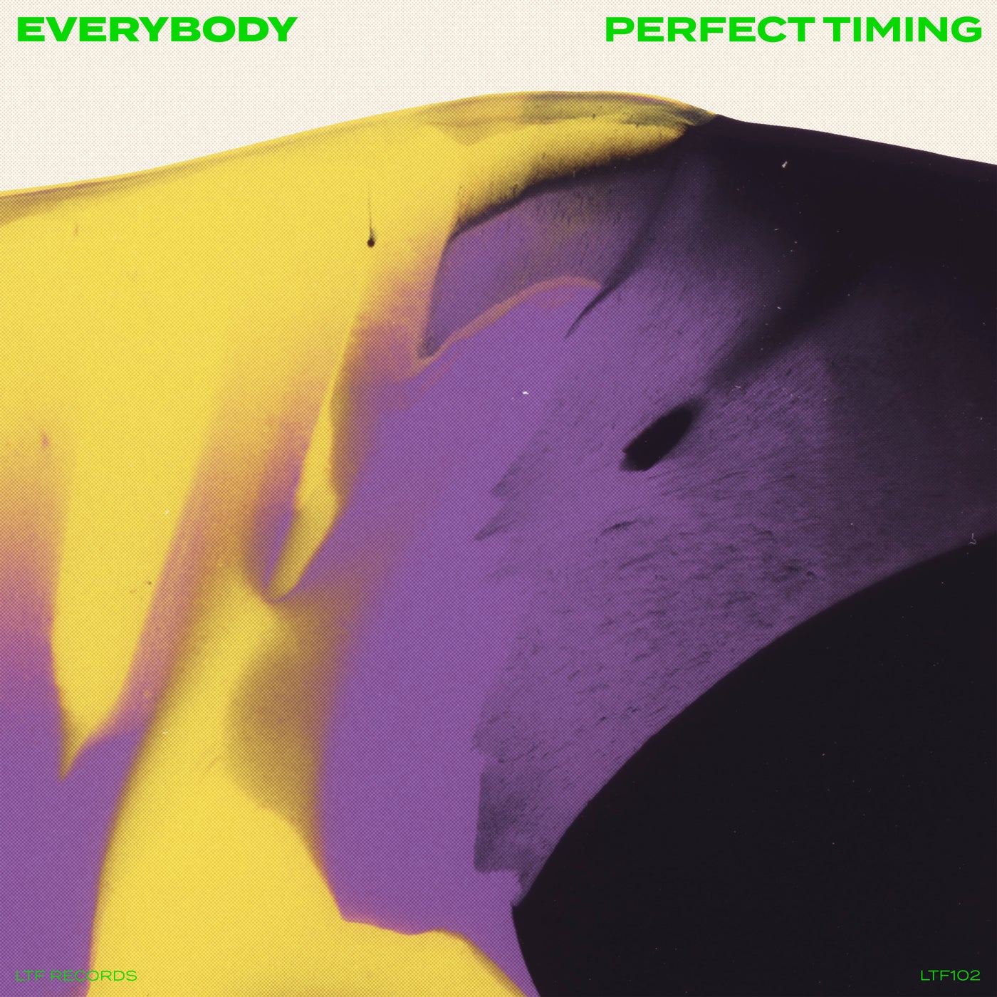 Cover - Nic Lorenz, Simes, Fero Duman, Perfect Timing (DE) - Everybody (Extended Mix) Promo tools