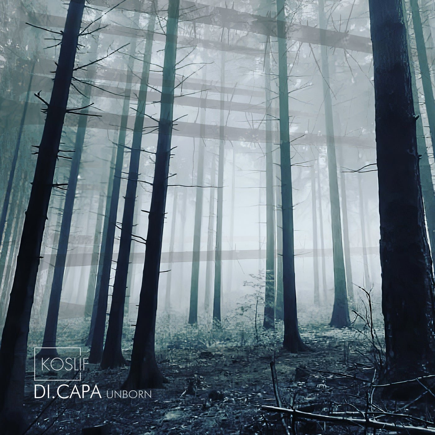 Cover - Di.Capa - Unborn (Original Mix)