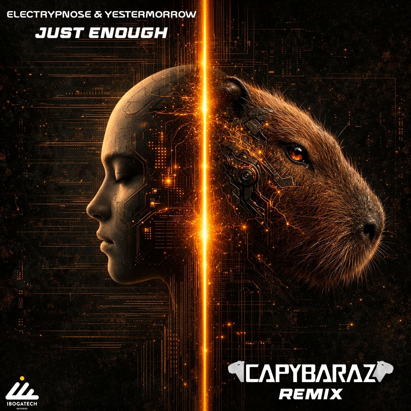 Cover - Electrypnose, Yestermorrow - Just Enough (Capybaraz Remix) Promo tools