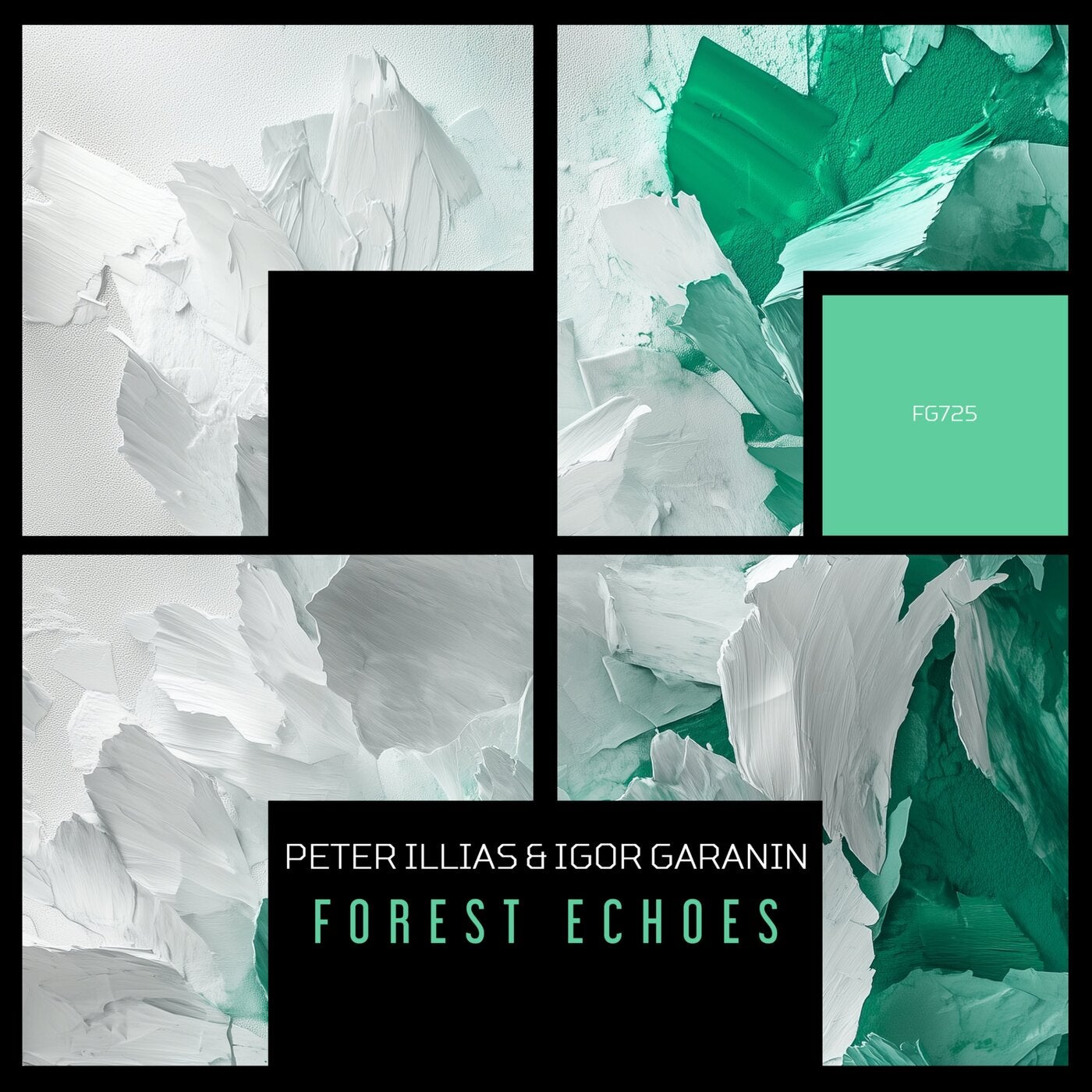 Cover - Peter Illias, Igor Garanin - Forest Echoes (Extended Mix) Promo tools