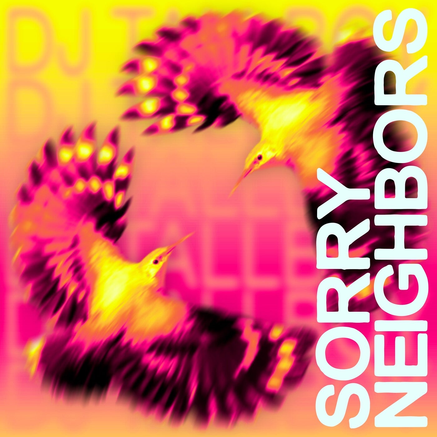 Cover - DJ Tallboy - Sorry Neighbors (Original Mix) Promo tools
