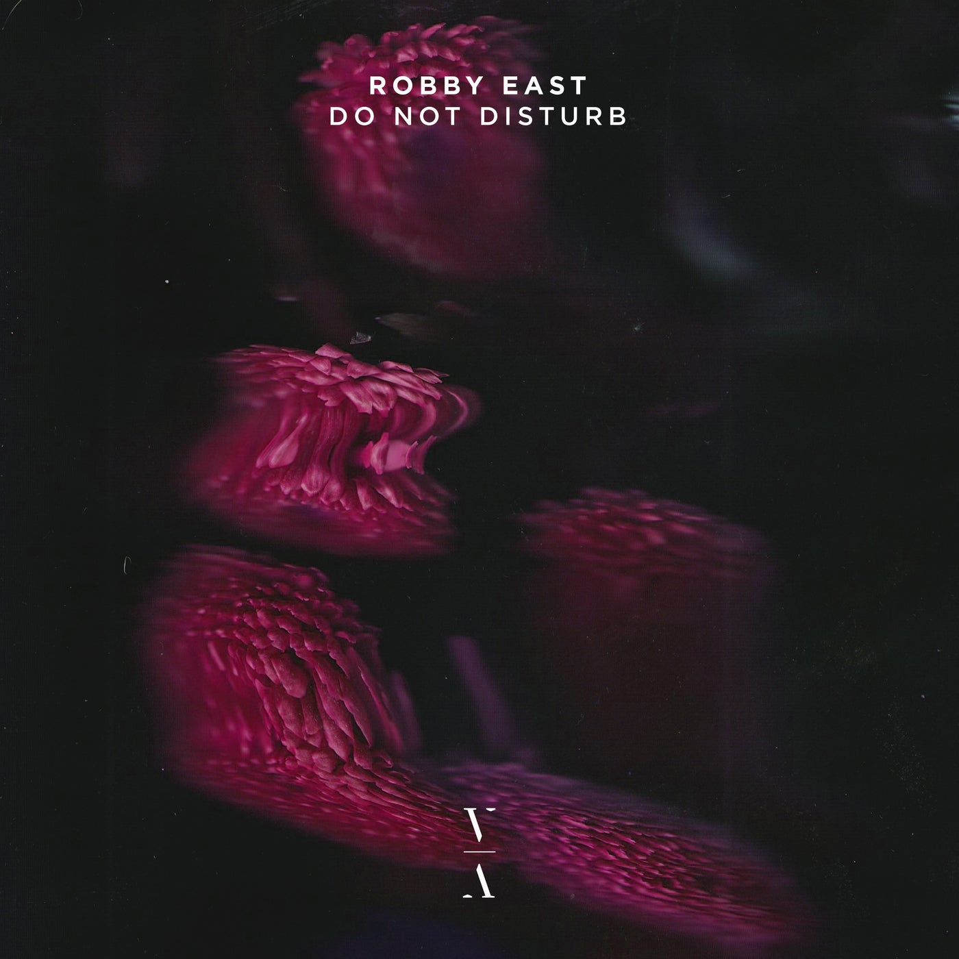 Cover - Robby East - Do Not Disturb (Extended Mix) Promo tools