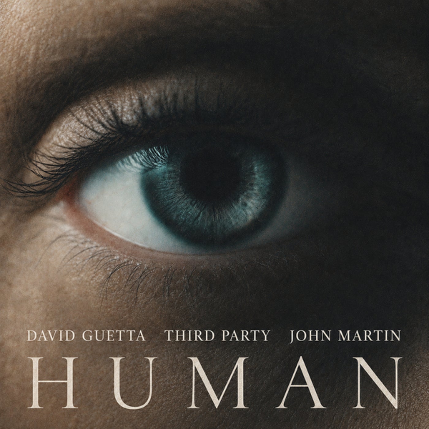 Cover - David Guetta, John Martin, Third Party - Human (Original Mix) Promo tools