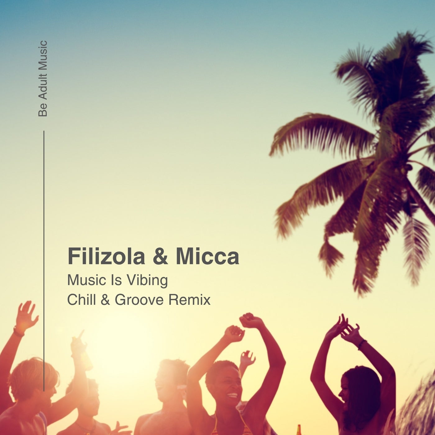 Cover - Micca, Filizola - Music Is Vibing (Chill & Groove Party Remix) Promo tools
