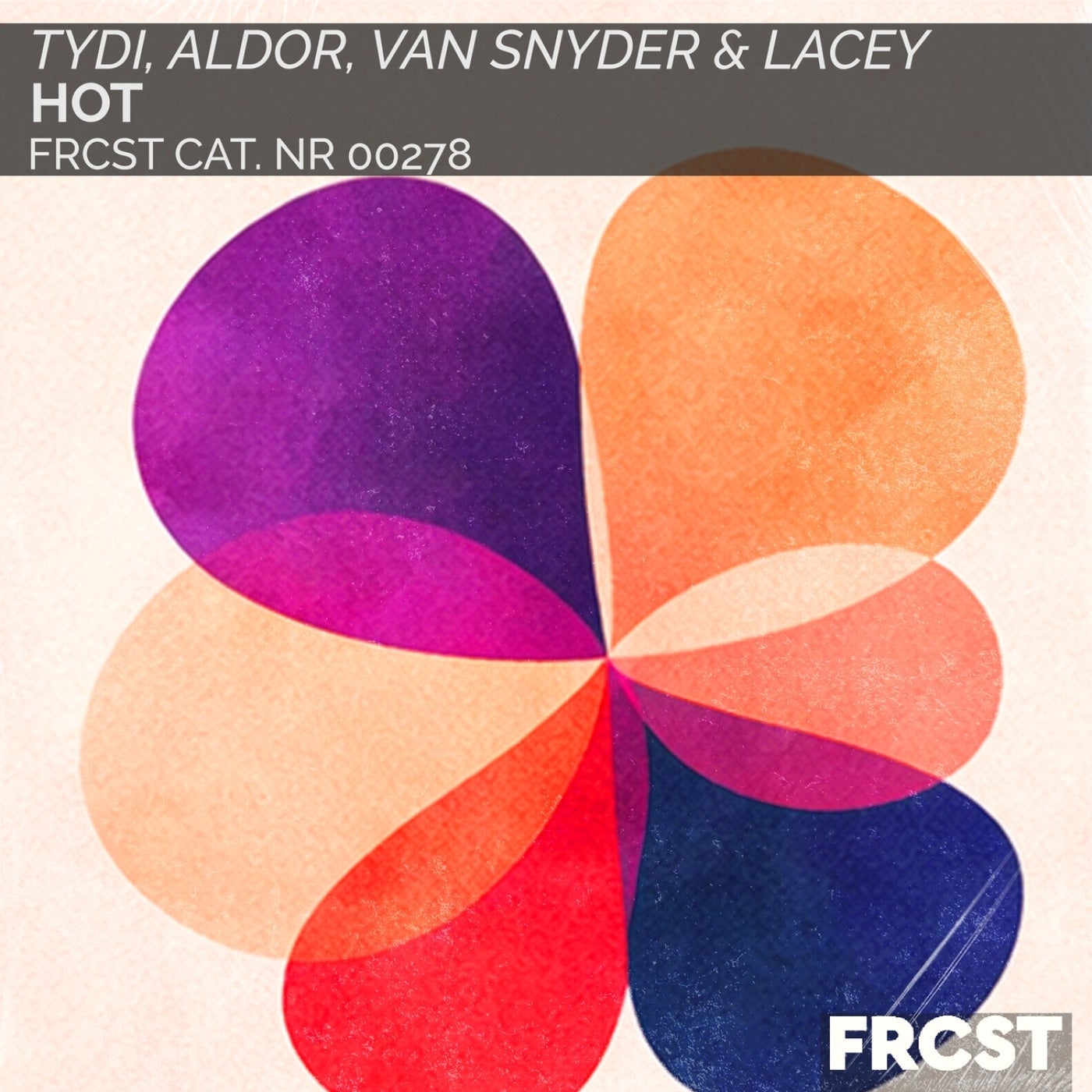 Cover - Lacey, TyDi, Van Snyder, Aldor - Hot (Extended) Promo tools