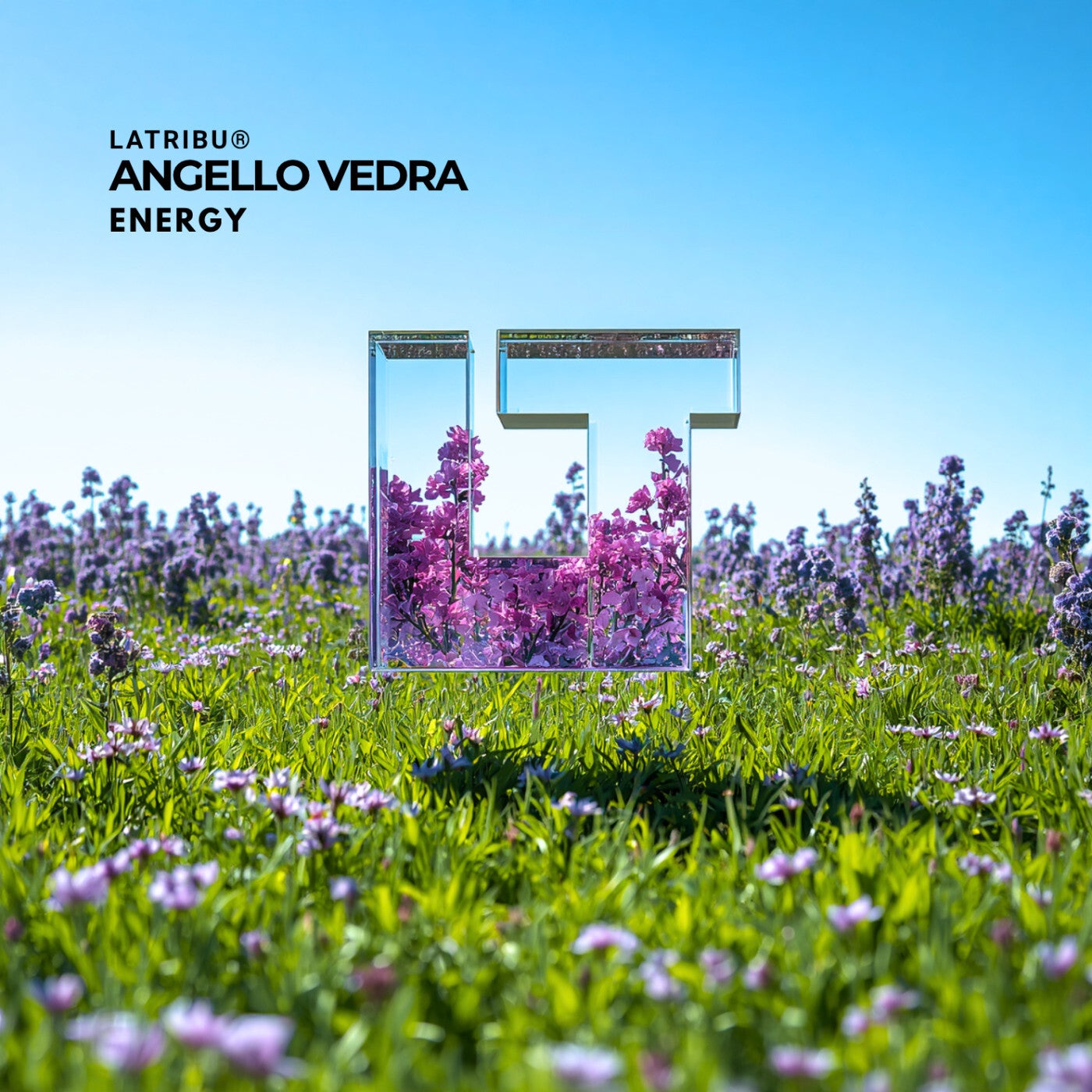 Cover - Angello Vedra - Energy (Original Mix) Promo tools