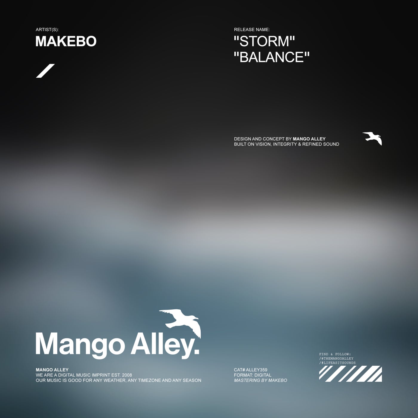 Cover - Makebo - Storm (Original Mix) Promo tools