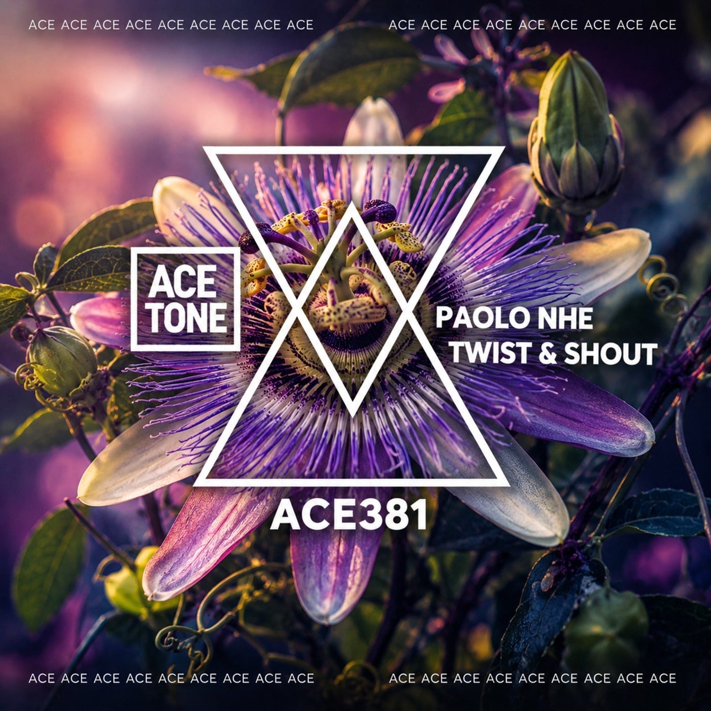 Cover - Paolo nhe - Twist & Shout (Original Mix) Promo tools