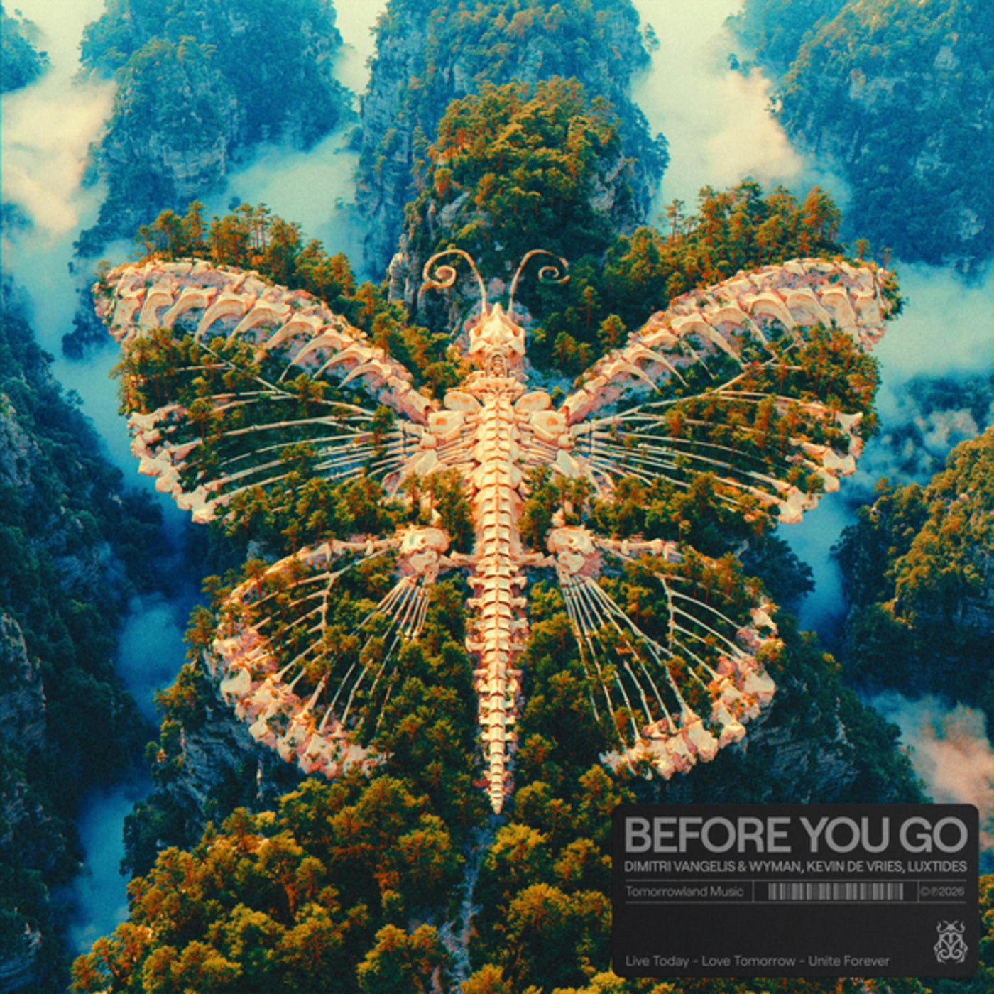 Cover - Dimitri Vangelis & Wyman, Kevin de Vries, Luxtides - Before you Go (Original Mix) Promo tools