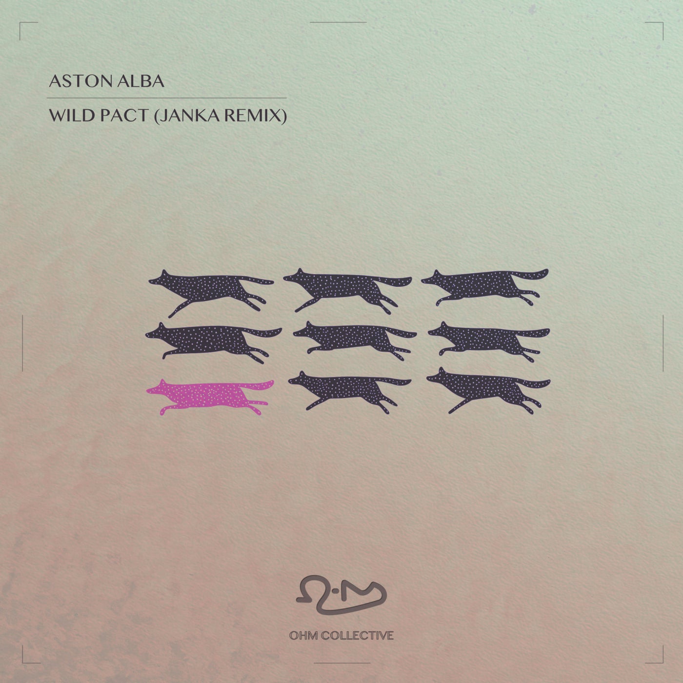 Cover - Aston Alba, Ohm Collective - Wild Pact (JANKA Remix) Promo tools